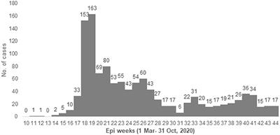 Epidemiology Characteristics of COVID-19 Infection Amongst Primary Health Care Workers in Qatar: March-October 2020